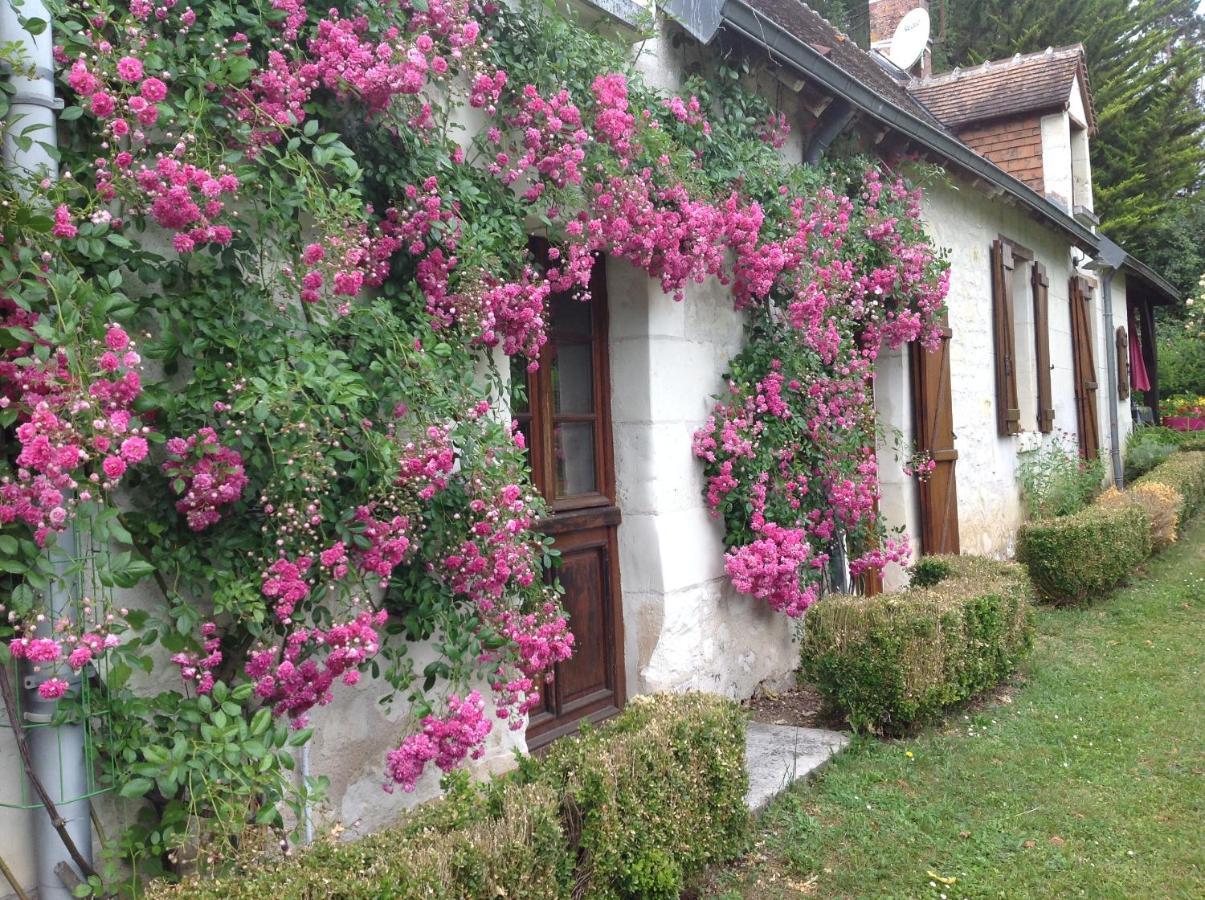 Gite O Beauval Saint-Aignan  Luaran gambar