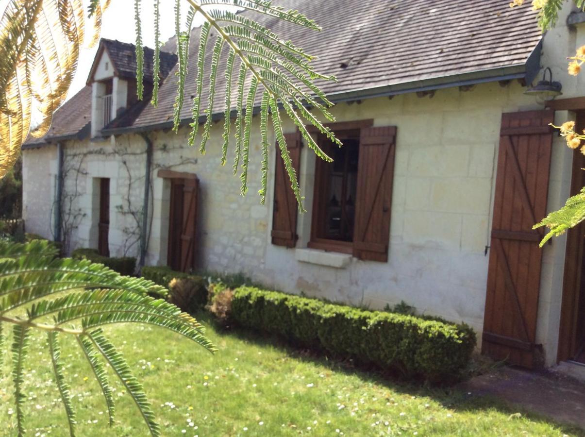 Gite O Beauval Saint-Aignan  Luaran gambar
